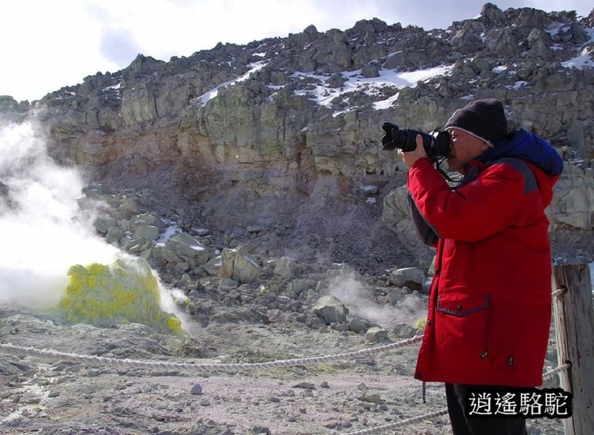 硫黃山-日本駱駝