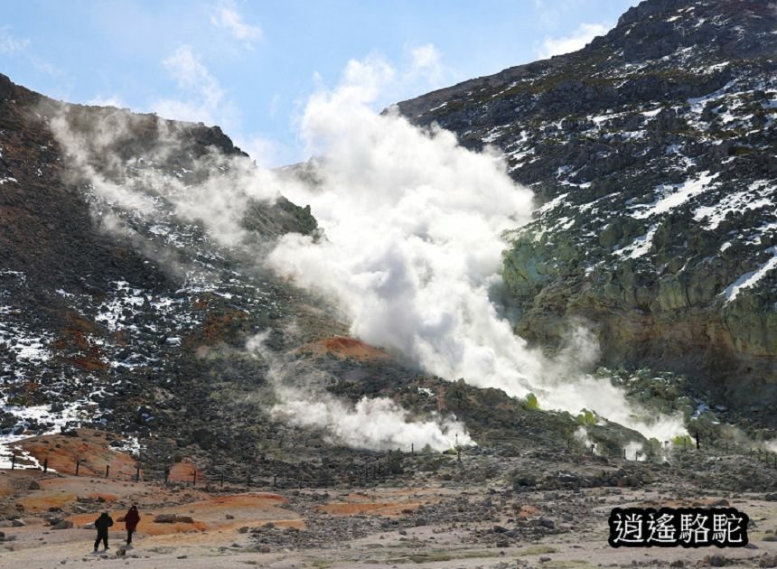 硫黃山-日本駱駝