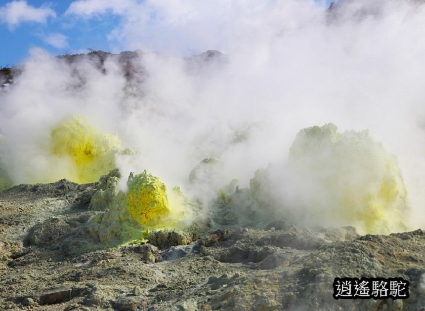 硫黃山-日本駱駝