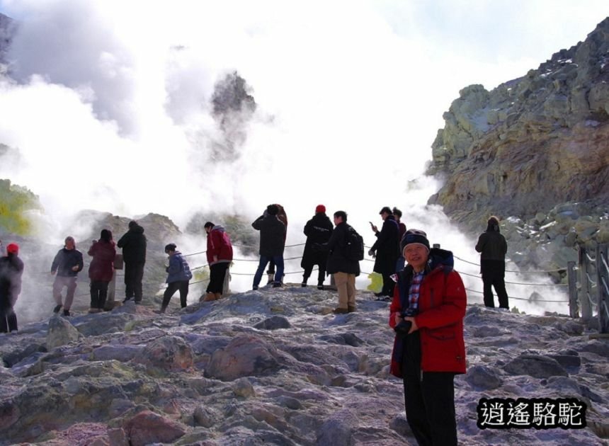 硫黃山-日本駱駝