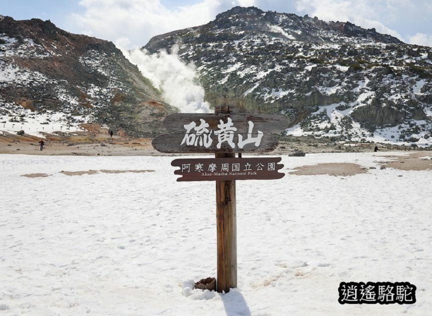 硫黃山-日本駱駝