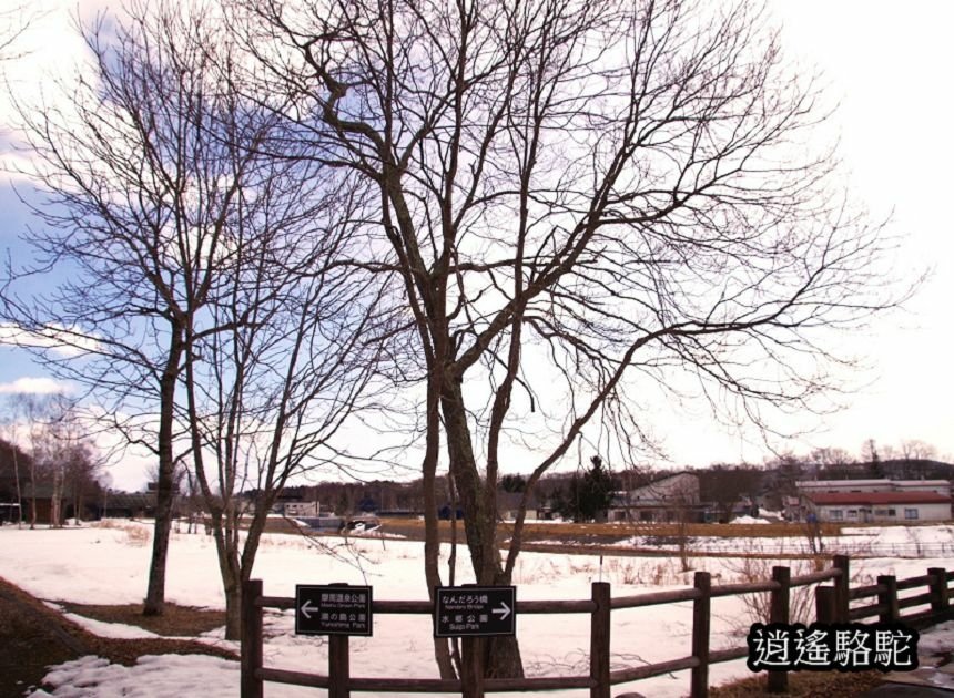 硫黃山MOKMOK空間-日本駱駝