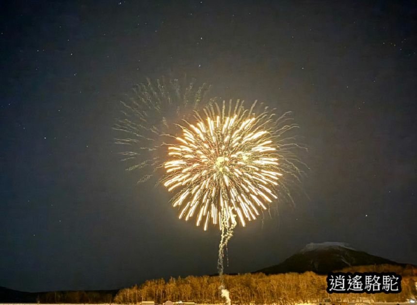 阿寒湖冰上冬華美-日本駱駝