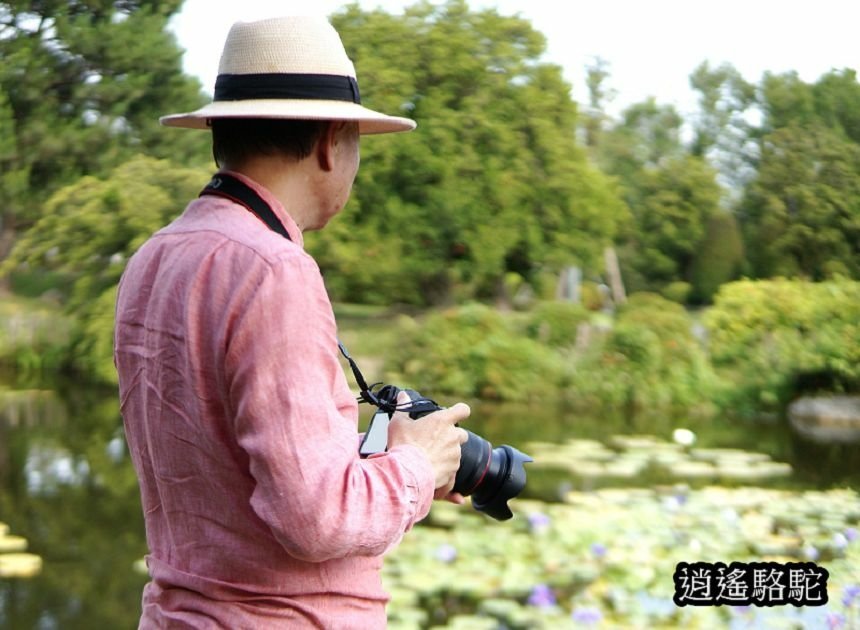 萬景藝苑-彰化駱駝