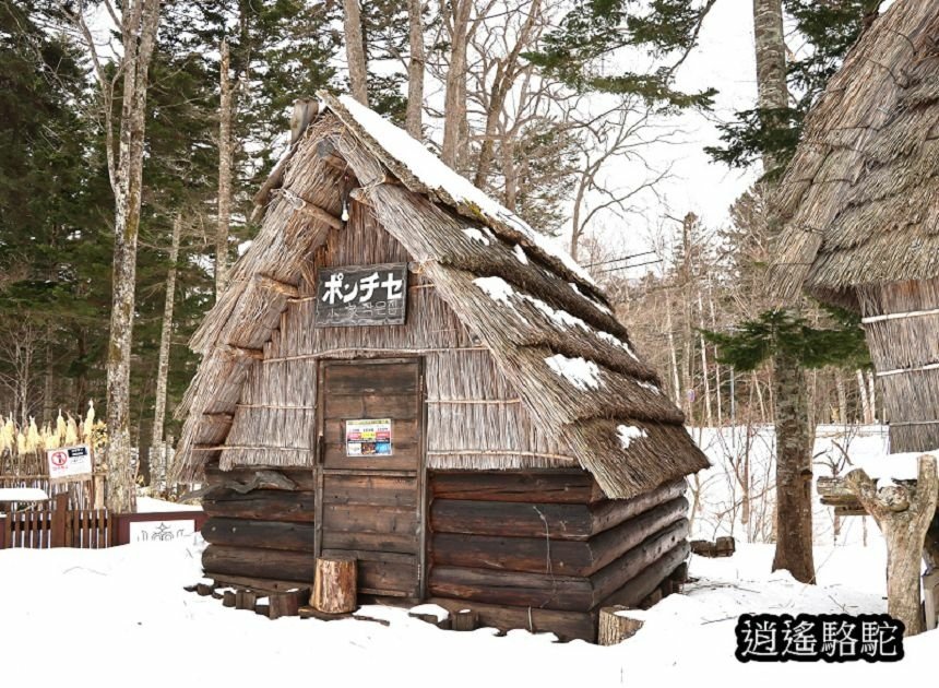 阿寒湖愛奴村-日本駱駝