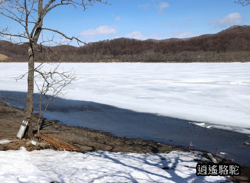 塘路湖生態博物館中心-日本駱駝