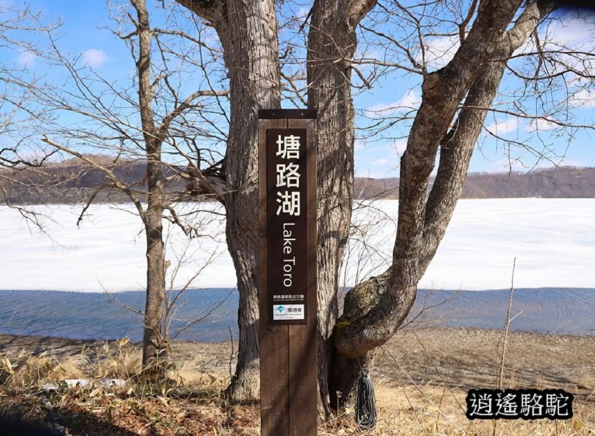 塘路湖生態博物館中心-日本駱駝