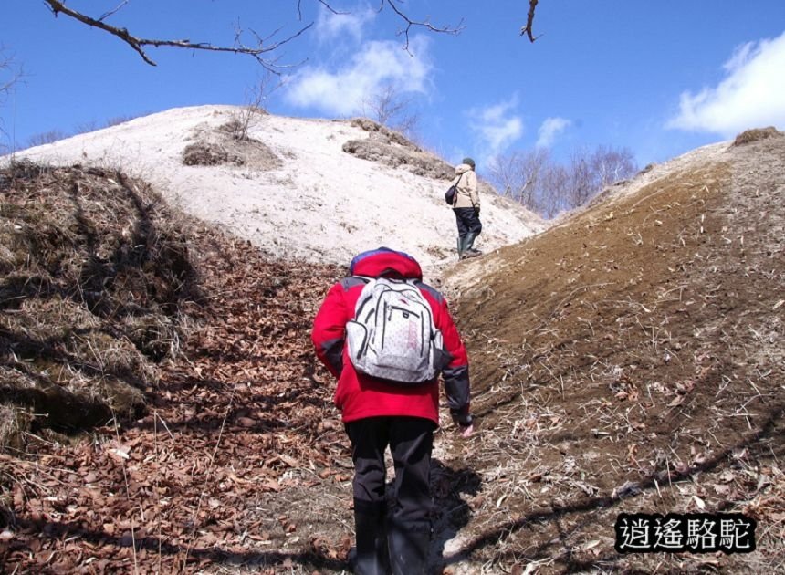 在ポントー賞鷹尋鹿-日本駱駝