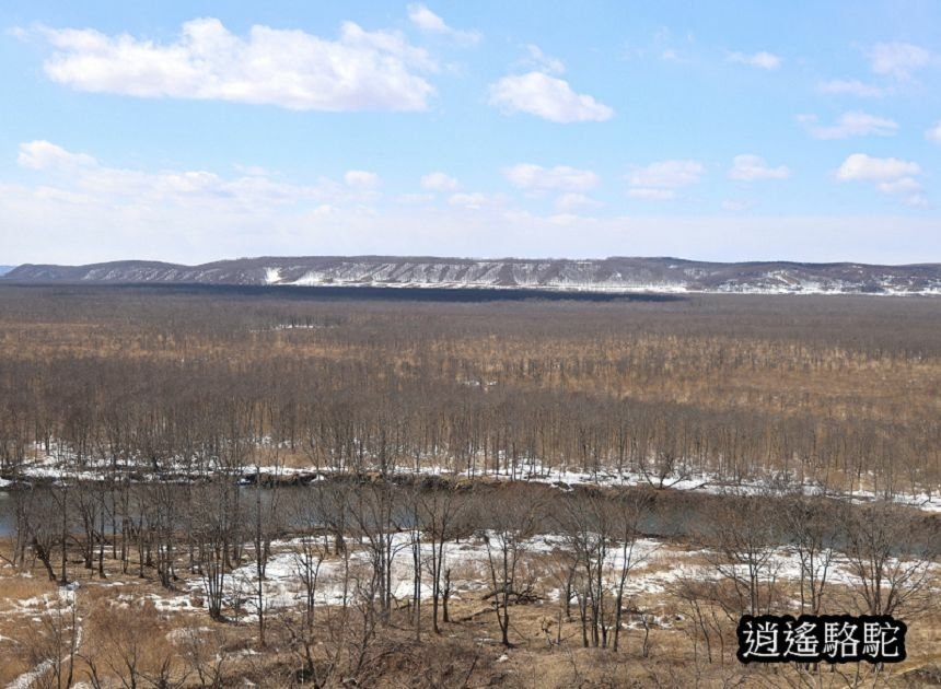 在ポントー賞鷹尋鹿-日本駱駝