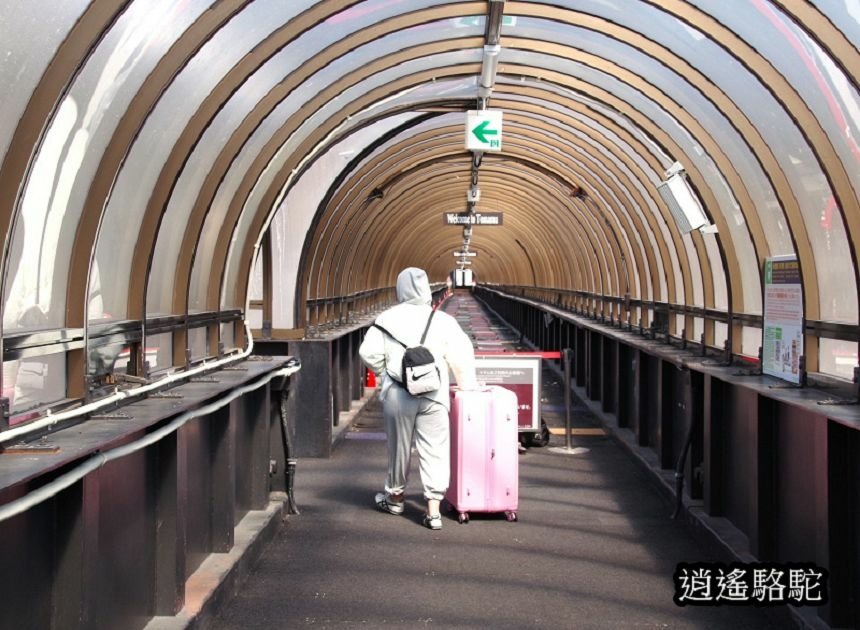 來去トマム駅-日本駱駝