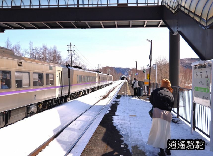 來去トマム駅-日本駱駝