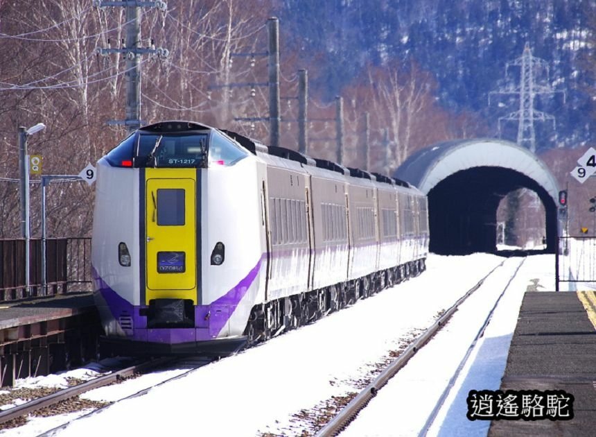 來去トマム駅-日本駱駝