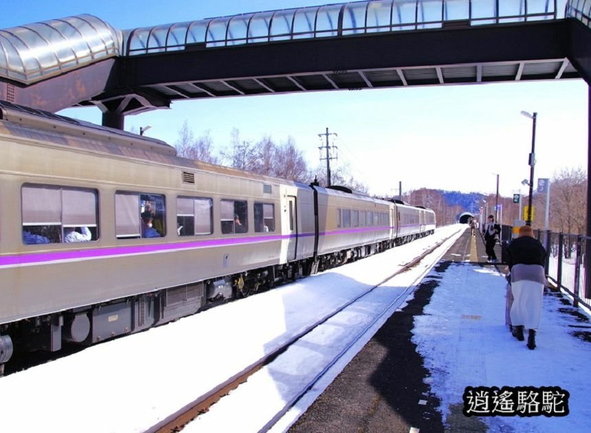 來去トマム駅-日本駱駝