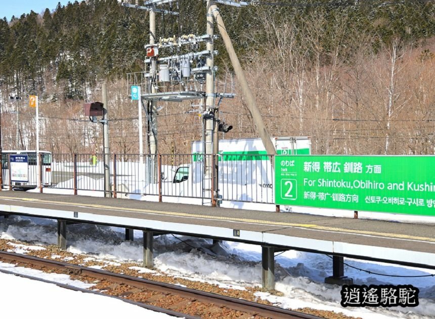 來去トマム駅-日本駱駝