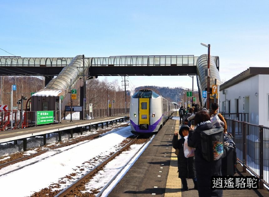 來去トマム駅-日本駱駝