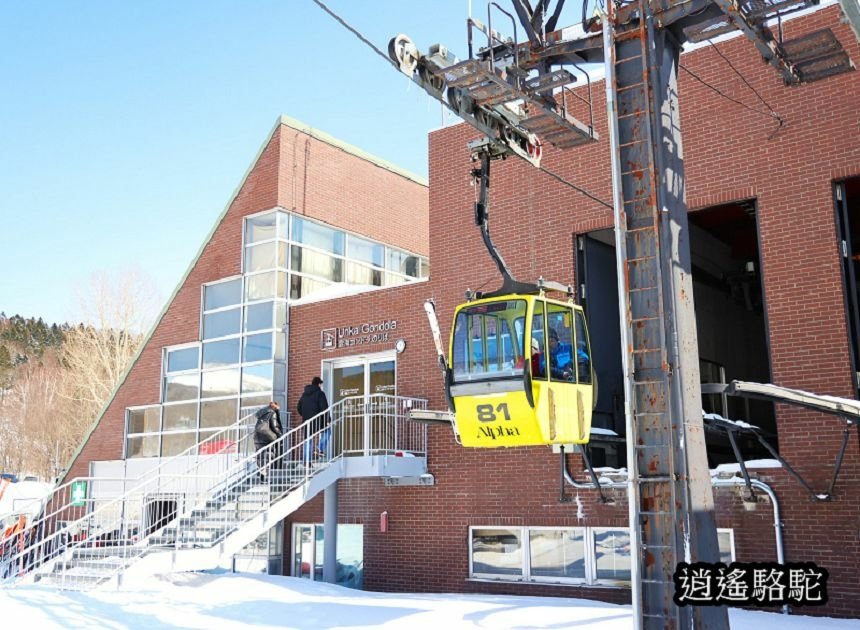 星野Tomamu雲海纜車-日本駱駝