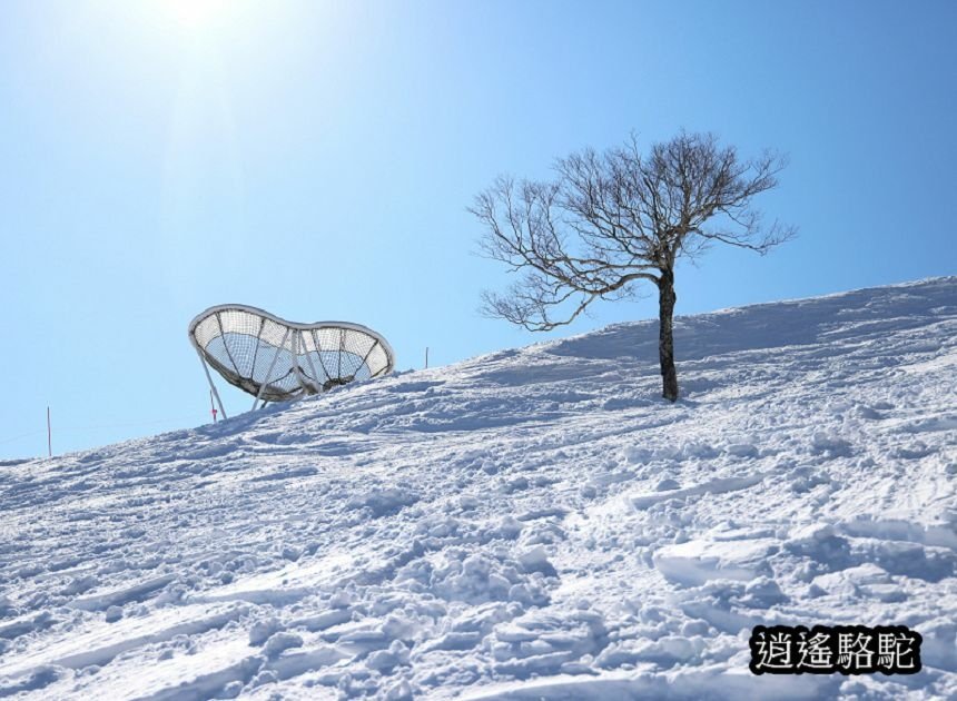 霧冰平台-日本駱駝