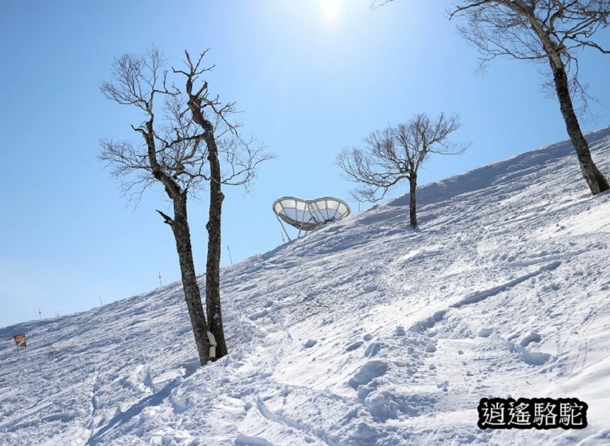 霧冰平台-日本駱駝