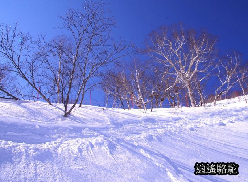 霧冰平台-日本駱駝