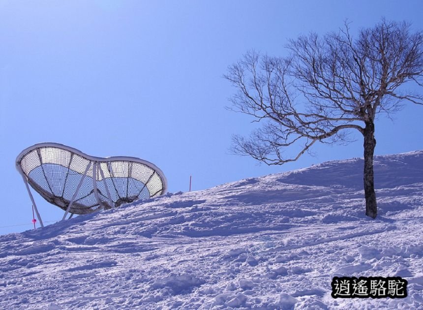 霧冰平台-日本駱駝