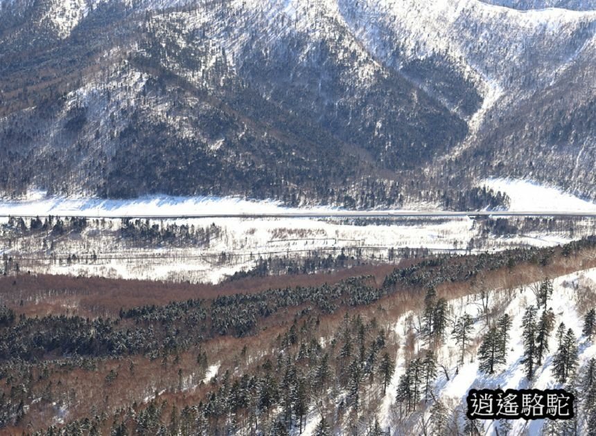 霧冰平台-日本駱駝