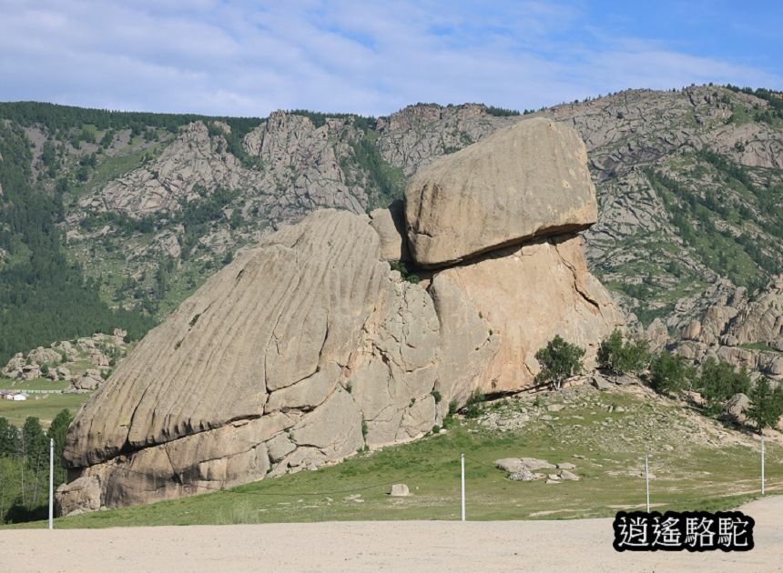 特勒吉國家公園烏龜石-蒙古駱駝