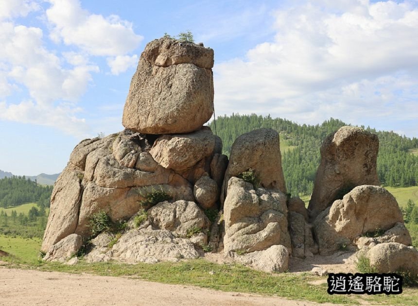 特勒吉國家公園烏龜石-蒙古駱駝