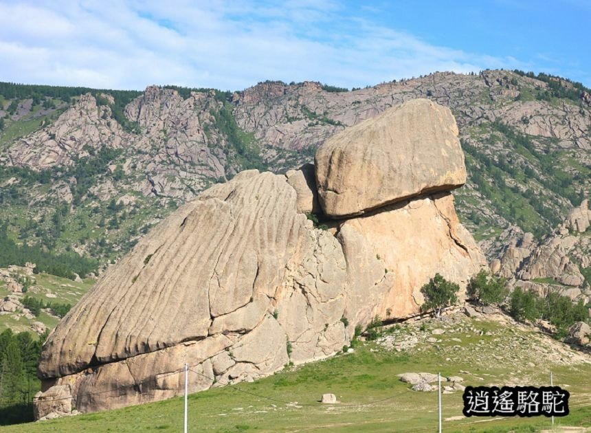 特勒吉國家公園烏龜石-蒙古駱駝