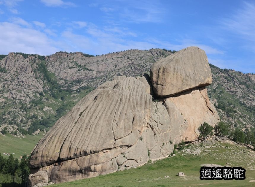 特勒吉國家公園烏龜石-蒙古駱駝