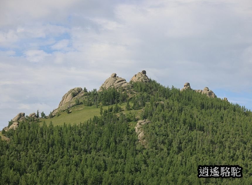 特勒吉國家公園烏龜石-蒙古駱駝