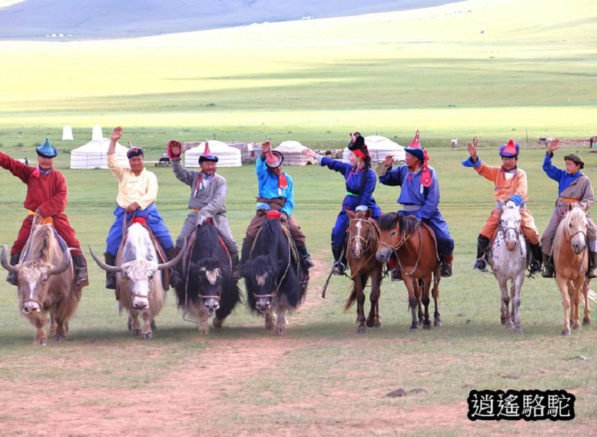 蒙古游牧營地Mongol Nomadic camp群獸迎賓-