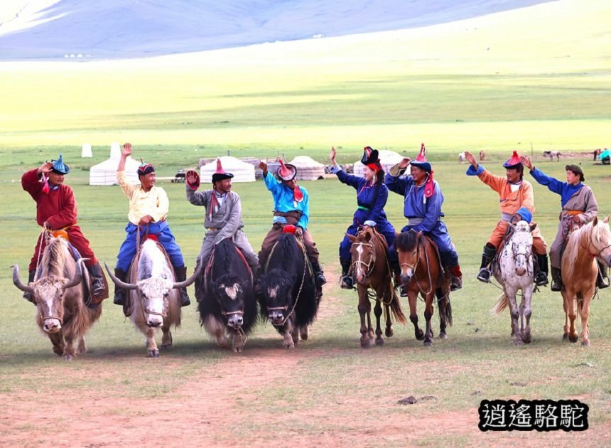 蒙古游牧營地Mongol Nomadic camp群獸迎賓-