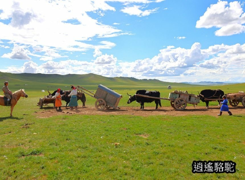 走敖特爾(蒙古人遷移) -蒙古駱駝