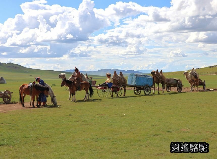 走敖特爾(蒙古人遷移) -蒙古駱駝