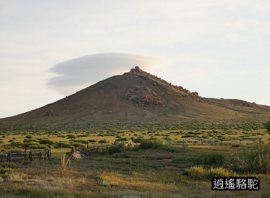 霍約扎加爾渡假村Hoyor Zagal Lodge-蒙古駱駝