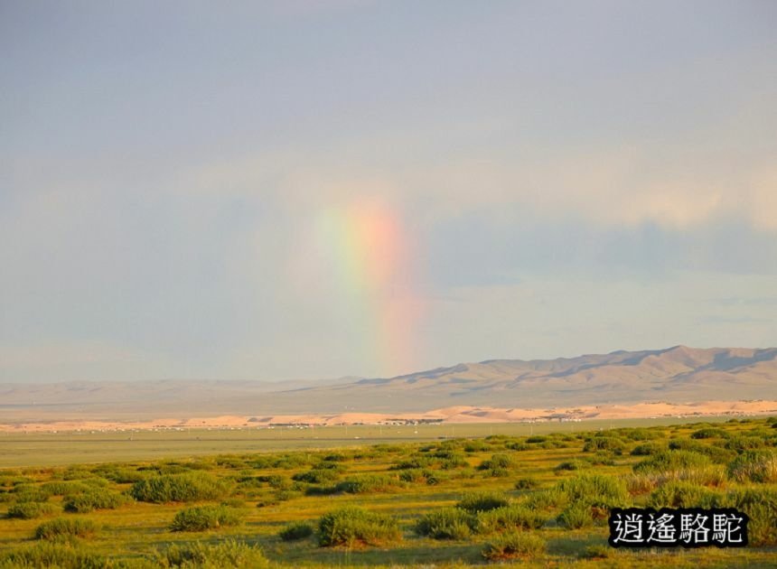 霍約扎加爾渡假村Hoyor Zagal Lodge-蒙古駱駝