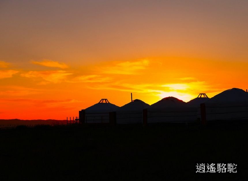 霍約扎加爾渡假村Hoyor Zagal Lodge-蒙古駱駝