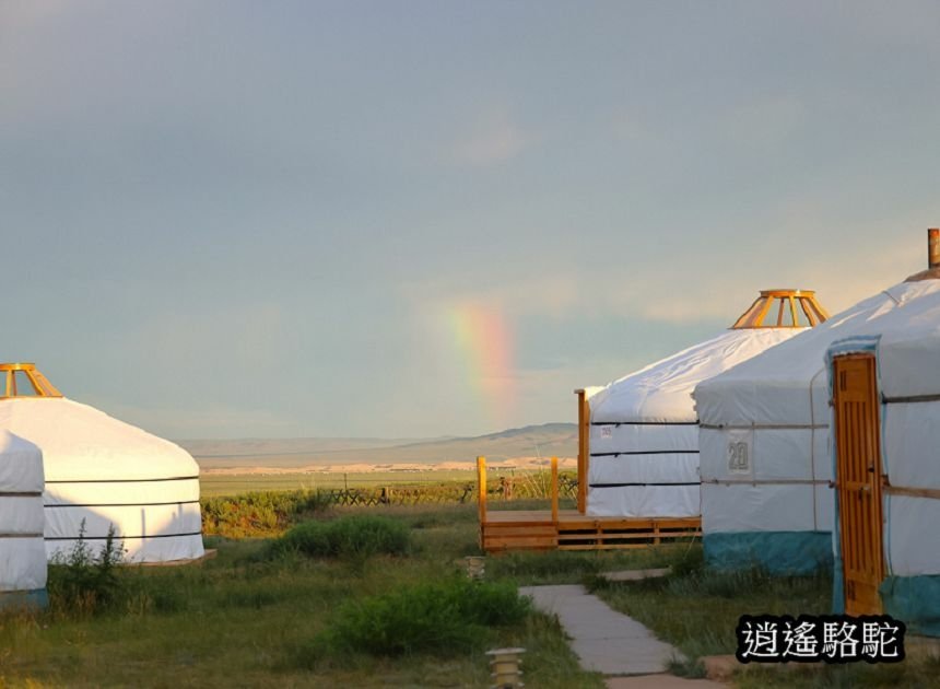 霍約扎加爾渡假村Hoyor Zagal Lodge-蒙古駱駝