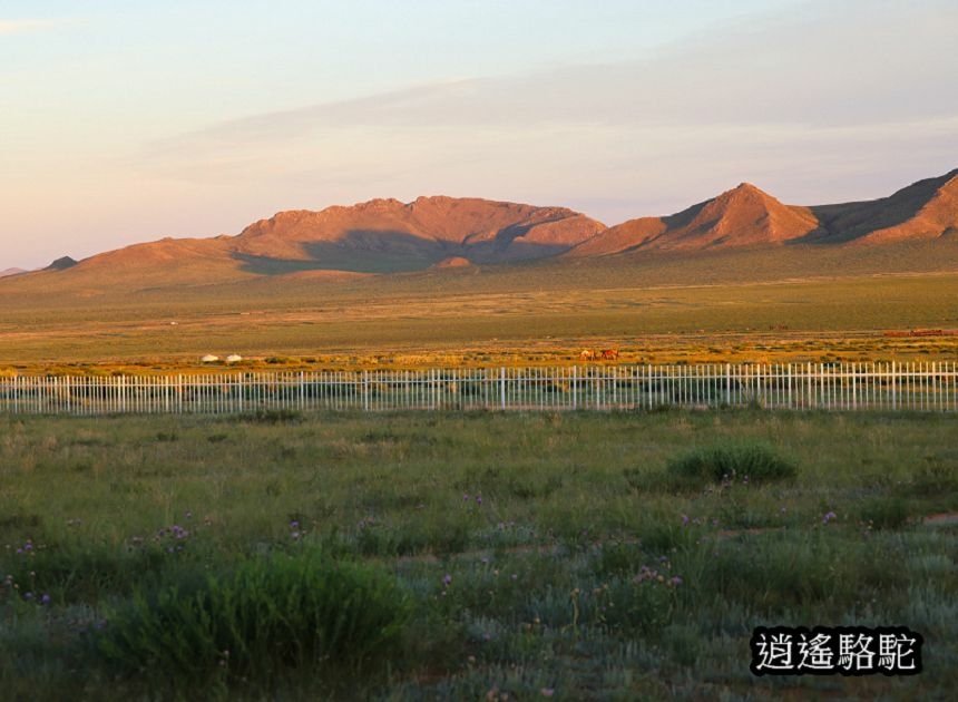 霍約扎加爾渡假村Hoyor Zagal Lodge-蒙古駱駝