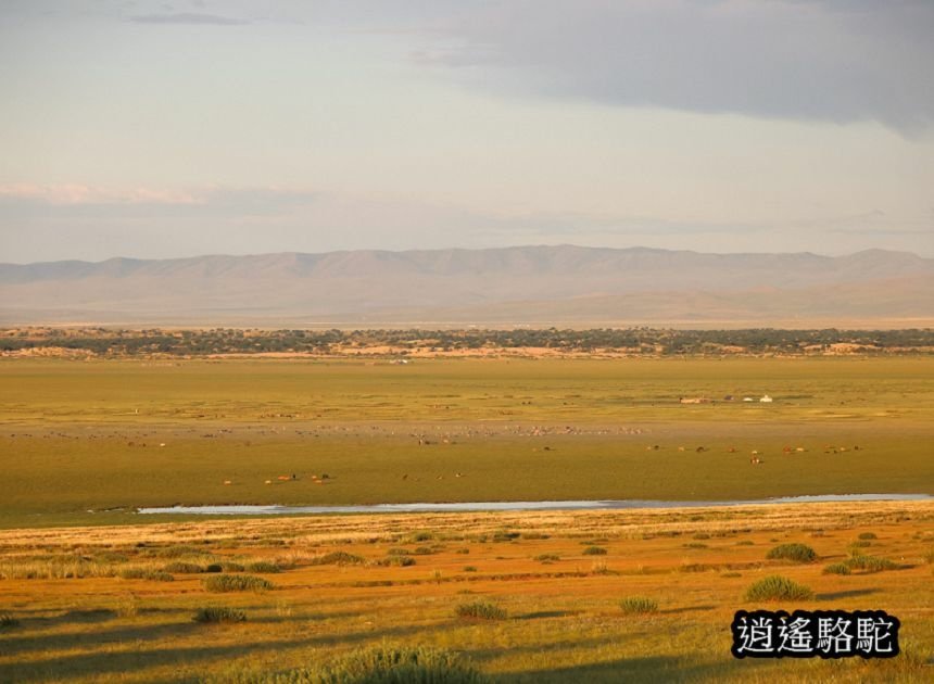 霍約扎加爾渡假村Hoyor Zagal Lodge-蒙古駱駝