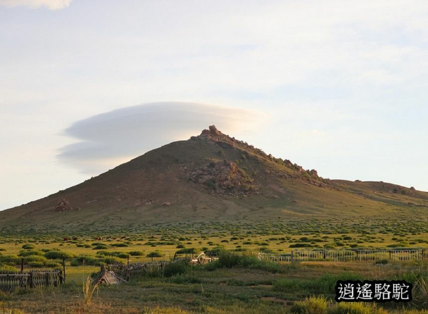 霍約扎加爾渡假村Hoyor Zagal Lodge-蒙古駱駝