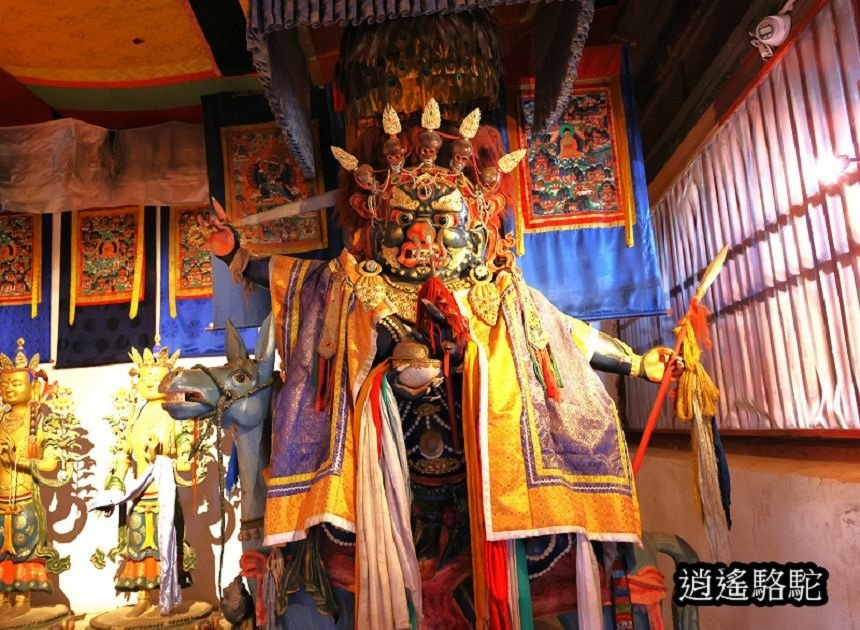 額爾德尼召（蒙古語：Эрдэнэ Зуу）-蒙古駱駝