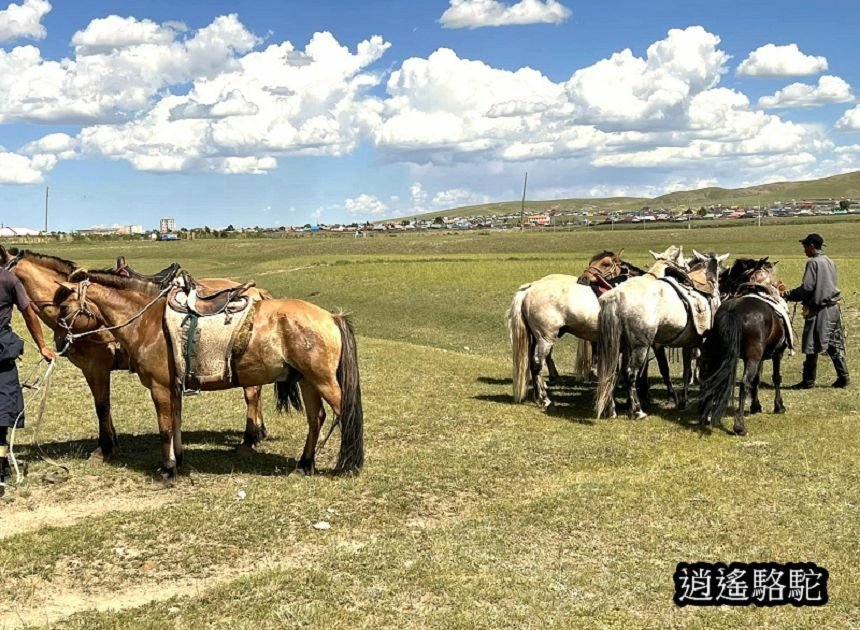 巴彥戈壁綠色草原騎馬-蒙古駱駝