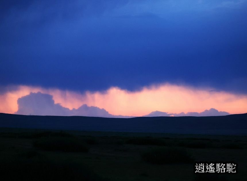 夜裡邂逅刺蝟貓Hoyor Zagal Lodge -蒙古駱駝