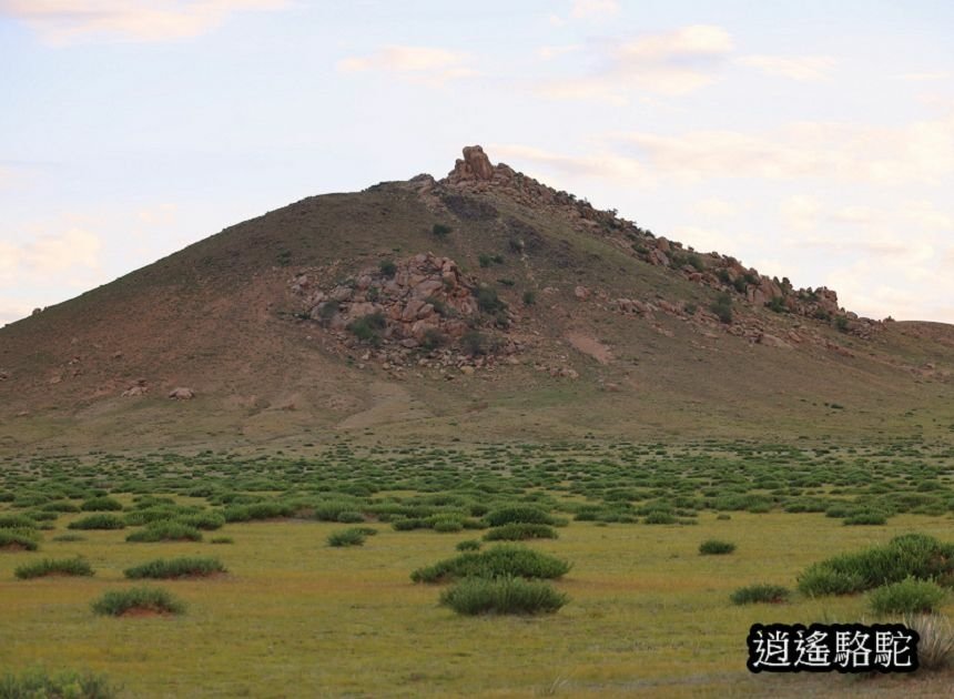 夜裡邂逅刺蝟貓Hoyor Zagal Lodge -蒙古駱駝