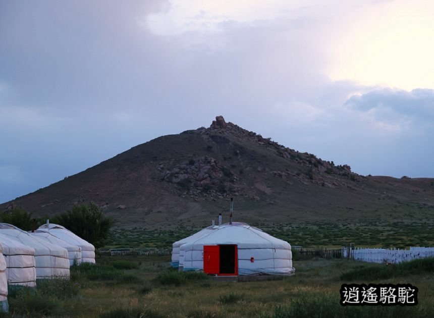 夜裡邂逅刺蝟貓Hoyor Zagal Lodge -蒙古駱駝