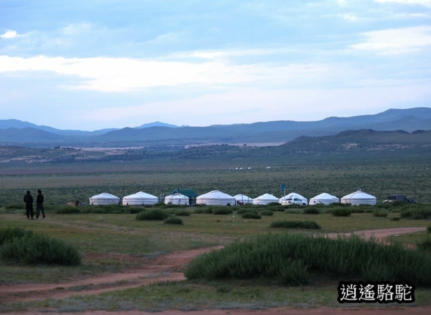 夜裡邂逅刺蝟貓Hoyor Zagal Lodge -蒙古駱駝