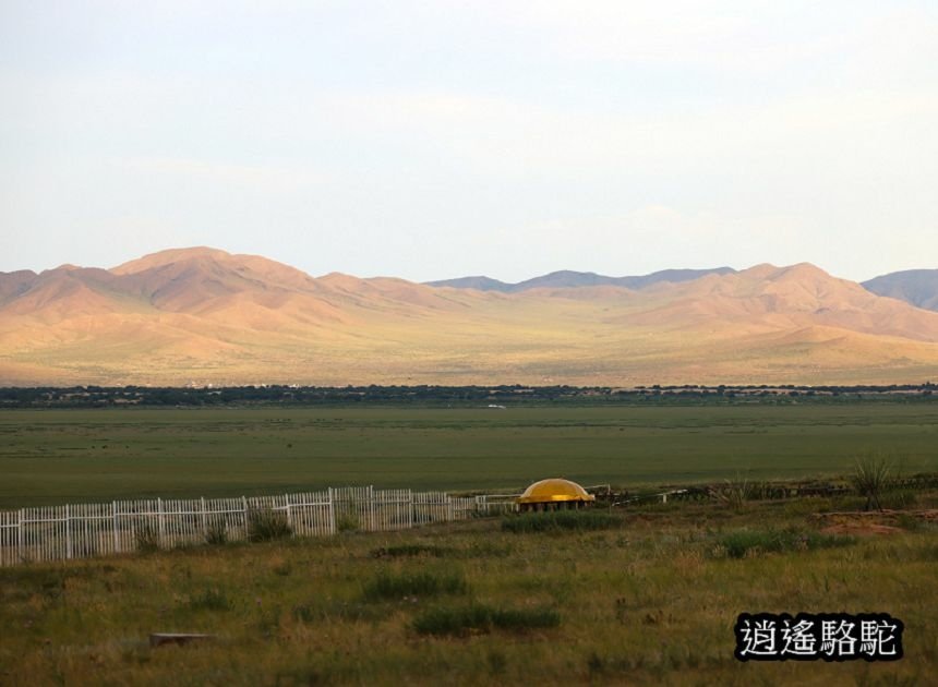 夜裡邂逅刺蝟貓Hoyor Zagal Lodge -蒙古駱駝