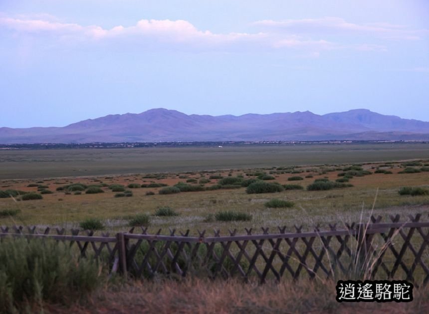 夜裡邂逅刺蝟貓Hoyor Zagal Lodge -蒙古駱駝