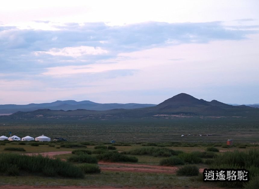 夜裡邂逅刺蝟貓Hoyor Zagal Lodge -蒙古駱駝